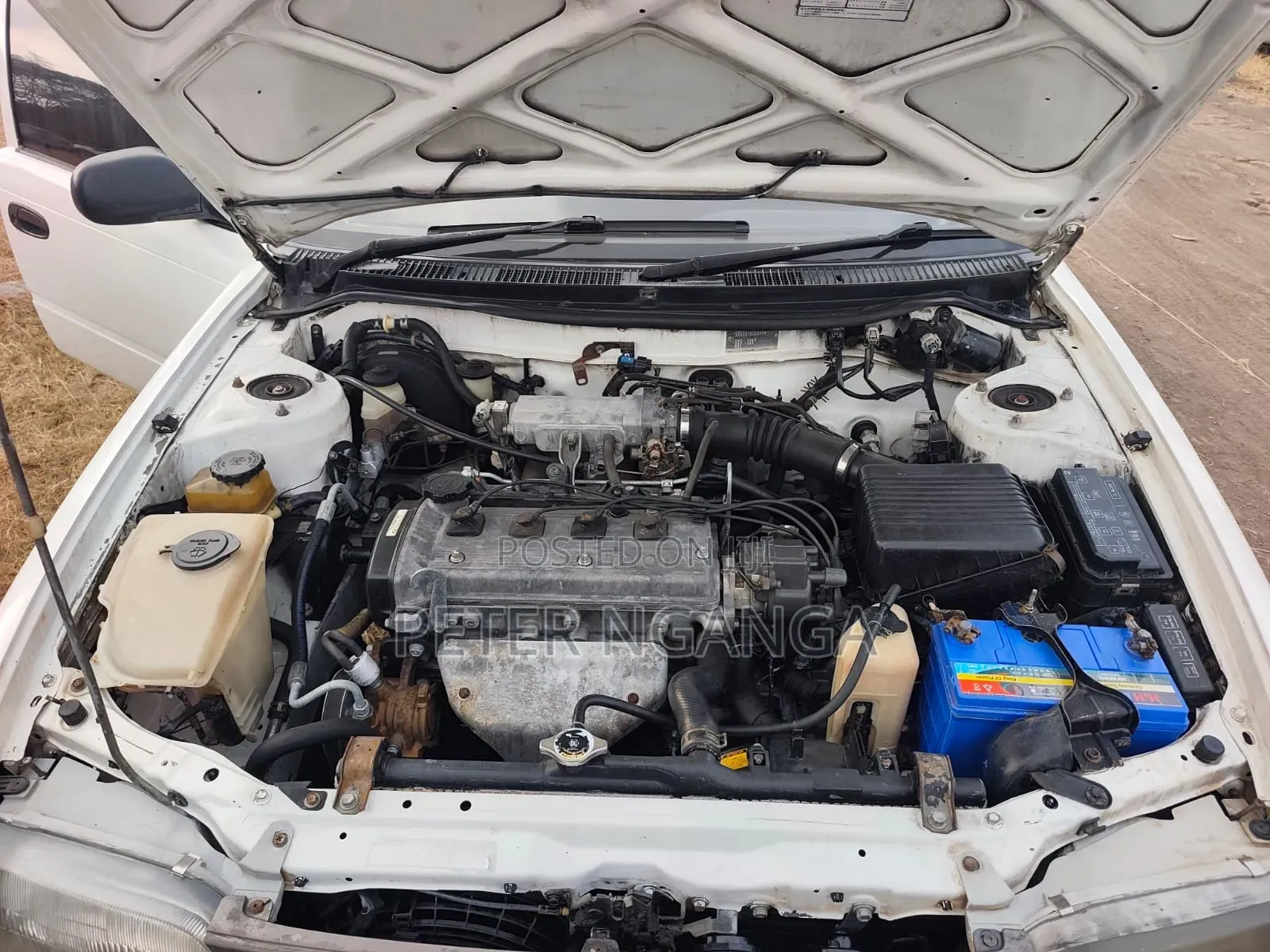 Toyota Corolla 2002 White