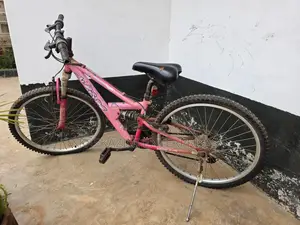 Apollo 24" Mountain Bike – Pink