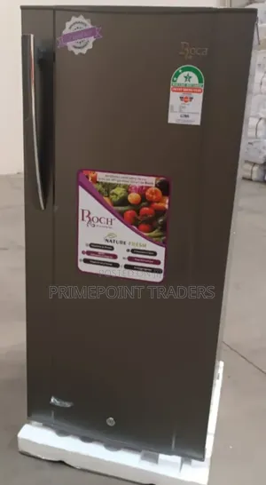 ROCH 150L RFR-190-SI Single Door Refrigerator – Spacious & Compact