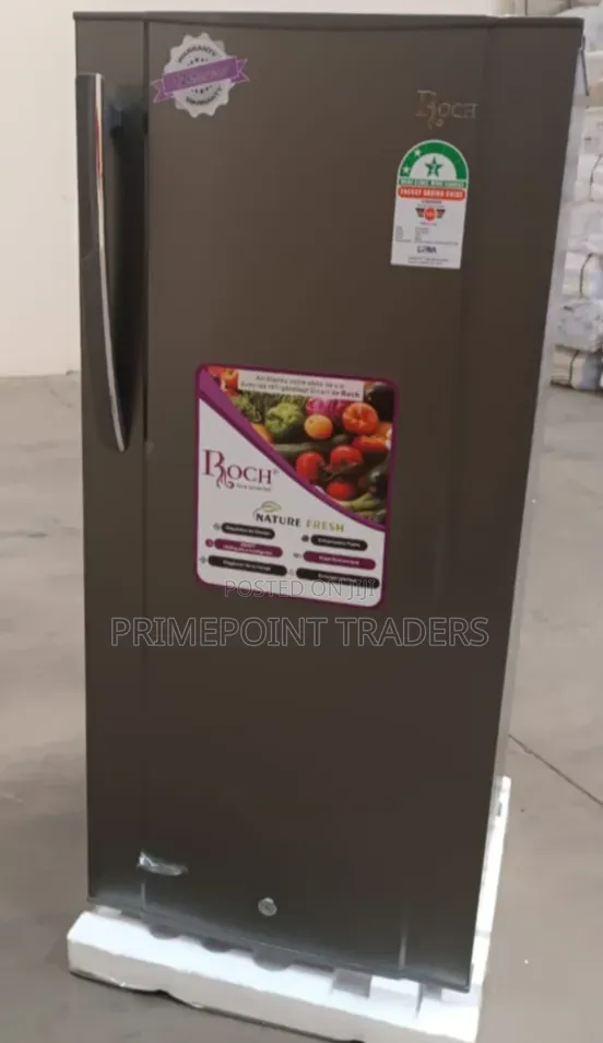 ROCH 150L RFR-190-SI Single Door Refrigerator – Spacious & Compact