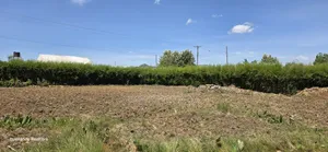 Prime 1⁄4 Plot for Sale in Chepkanga Mutei Gnaru in Eldoret