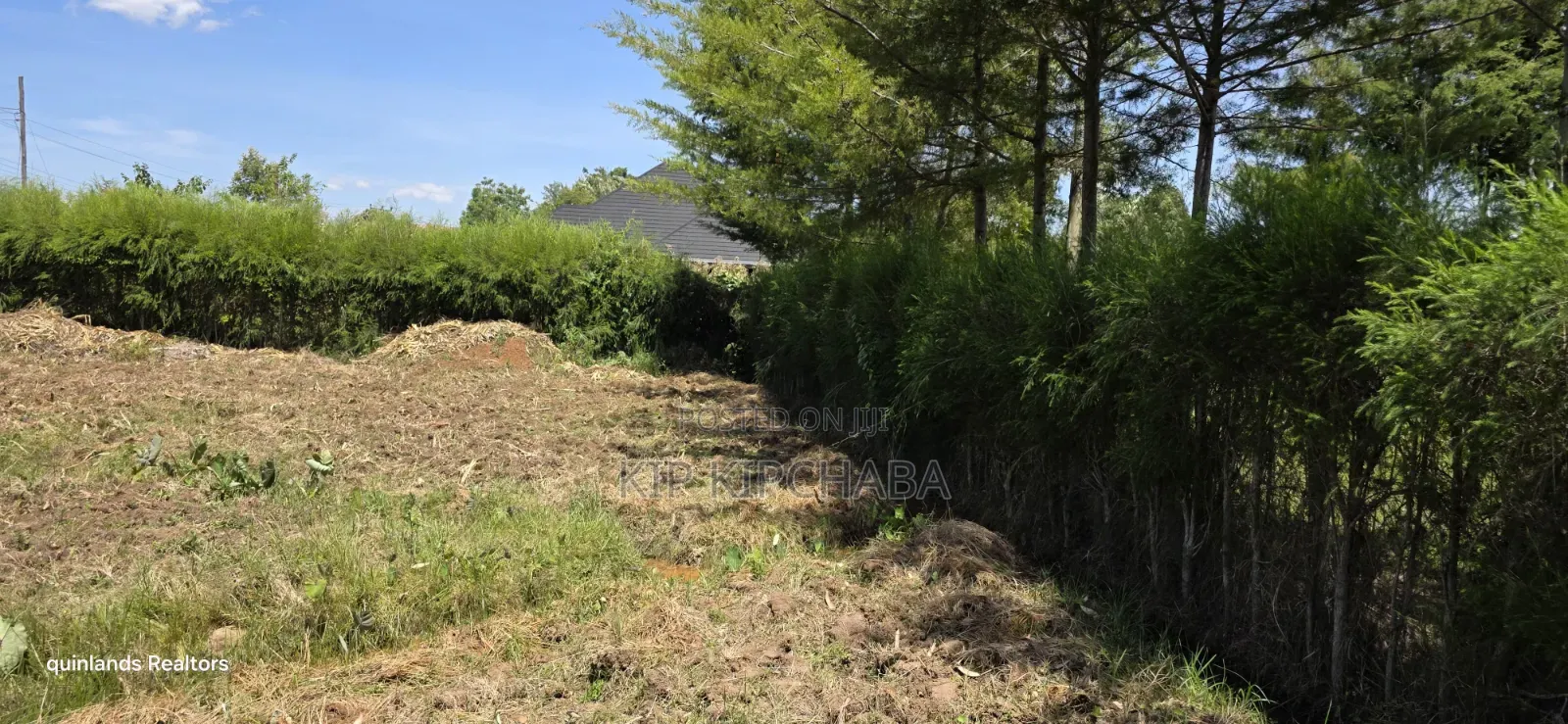 Prime 1⁄4 Plot for Sale in Chepkanga Mutei Gnaru in Eldoret