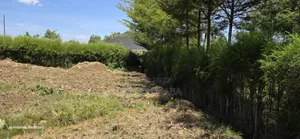 Prime 1⁄4 Plot for Sale in Chepkanga Mutei Gnaru in Eldoret