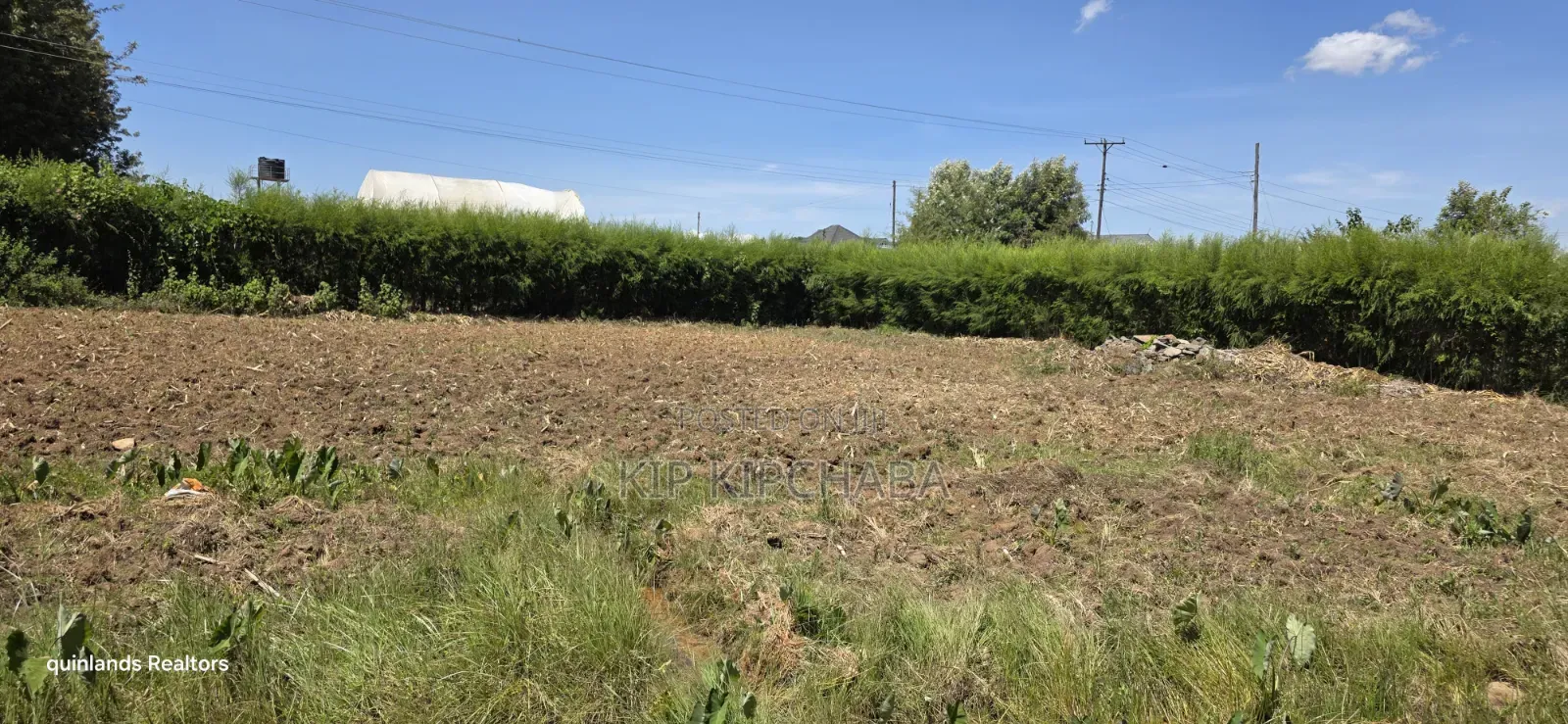 Prime 1⁄4 Plot for Sale in Chepkanga Mutei Gnaru in Eldoret