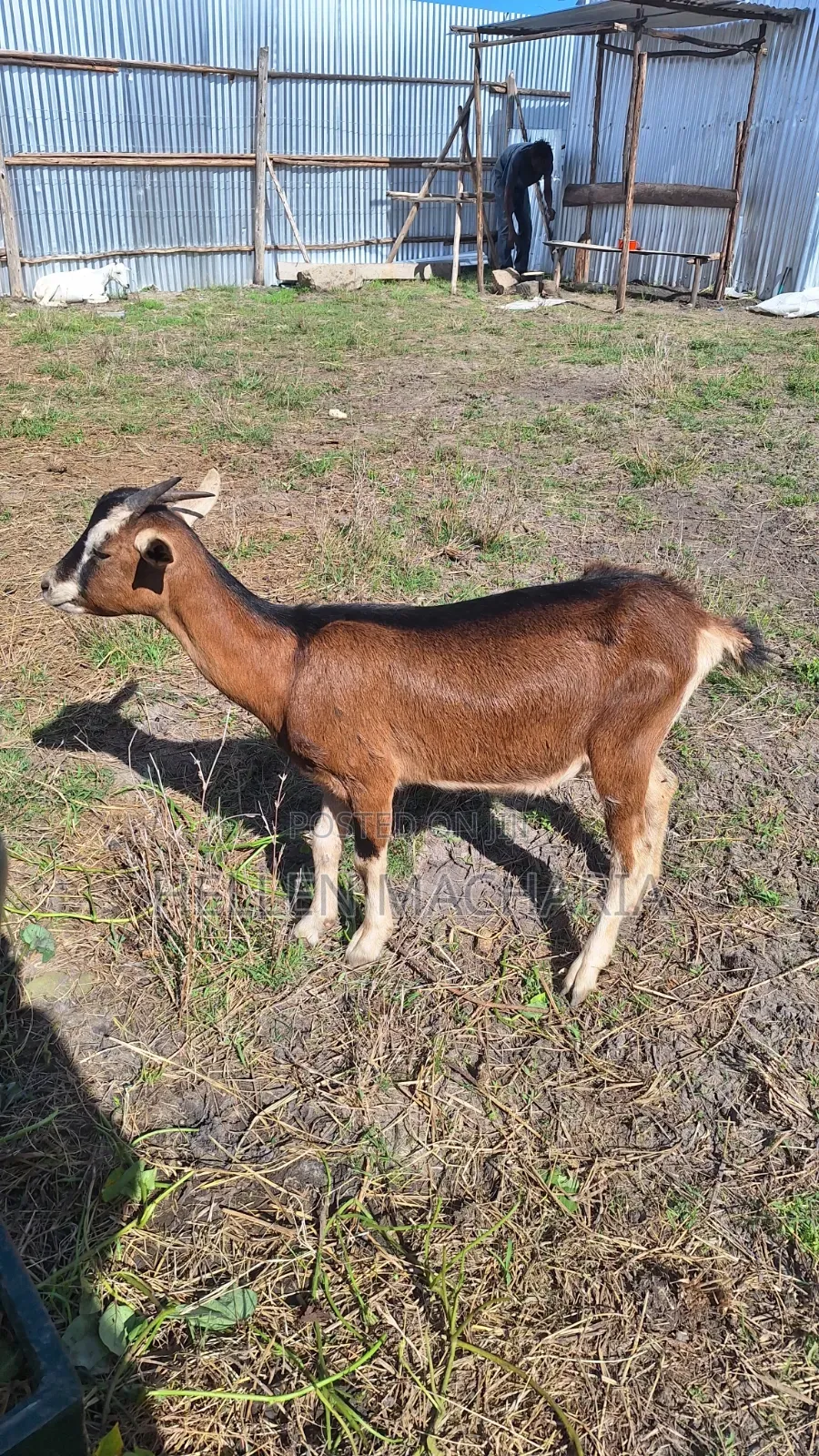 Hewama Farm Enterprise