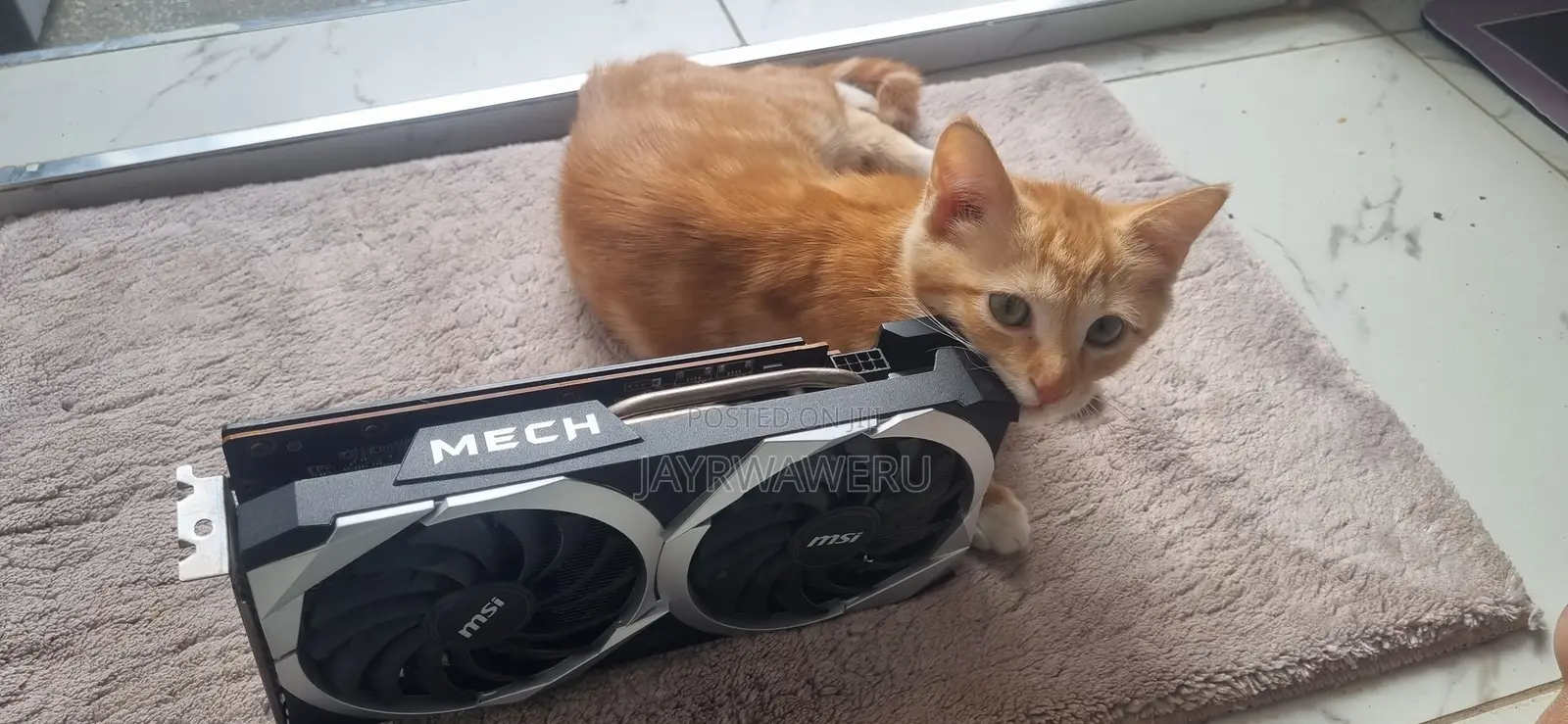 Graphic Card