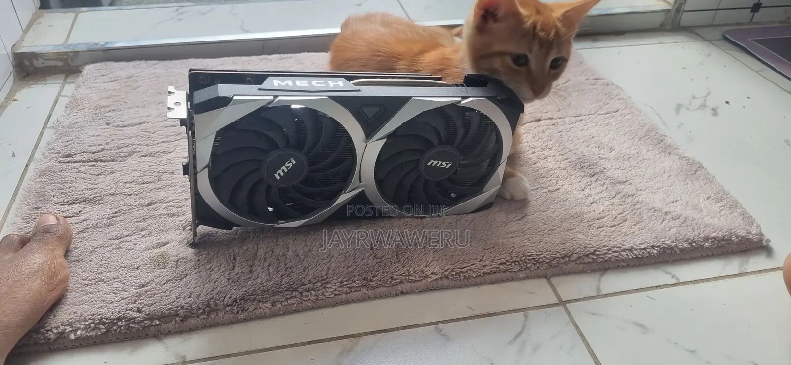 Graphic Card