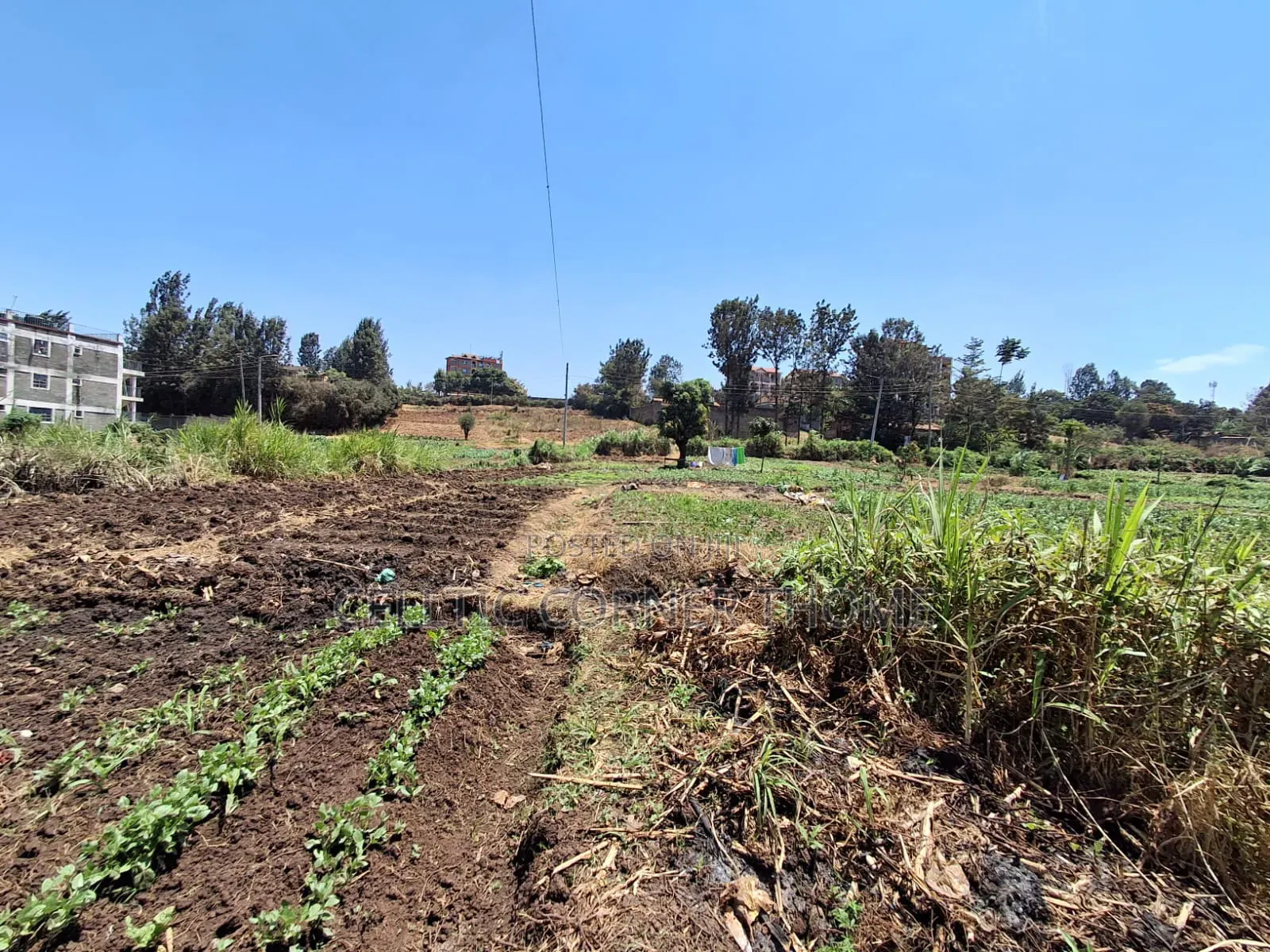 1/2 Acre Plot in Kamuthi Estate,Off Northern Bypass. Near Kahawa West