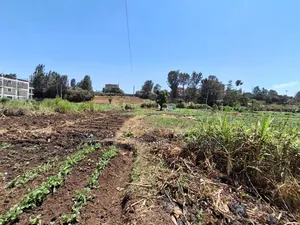 1/2 Acre Plot in Kamuthi Estate,Off Northern Bypass. Near Kahawa West