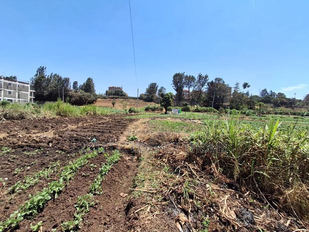 1/2 Acre Plot in Kamuthi Estate,Off Northern Bypass. Near Kahawa West