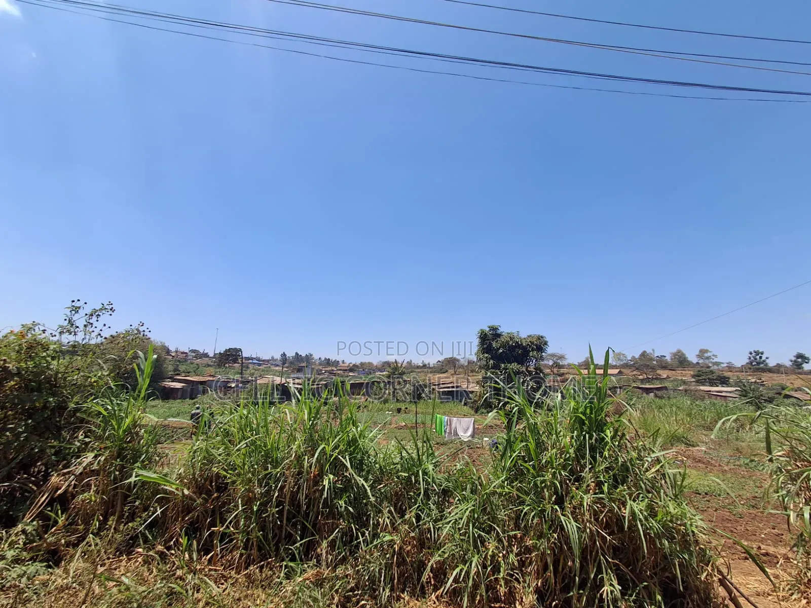 1/2 Acre Plot in Kamuthi Estate,Off Northern Bypass. Near Kahawa West
