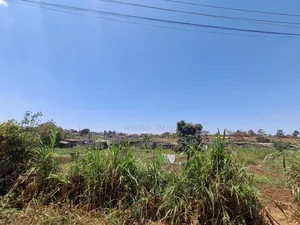 1/2 Acre Plot in Kamuthi Estate,Off Northern Bypass. Near Kahawa West