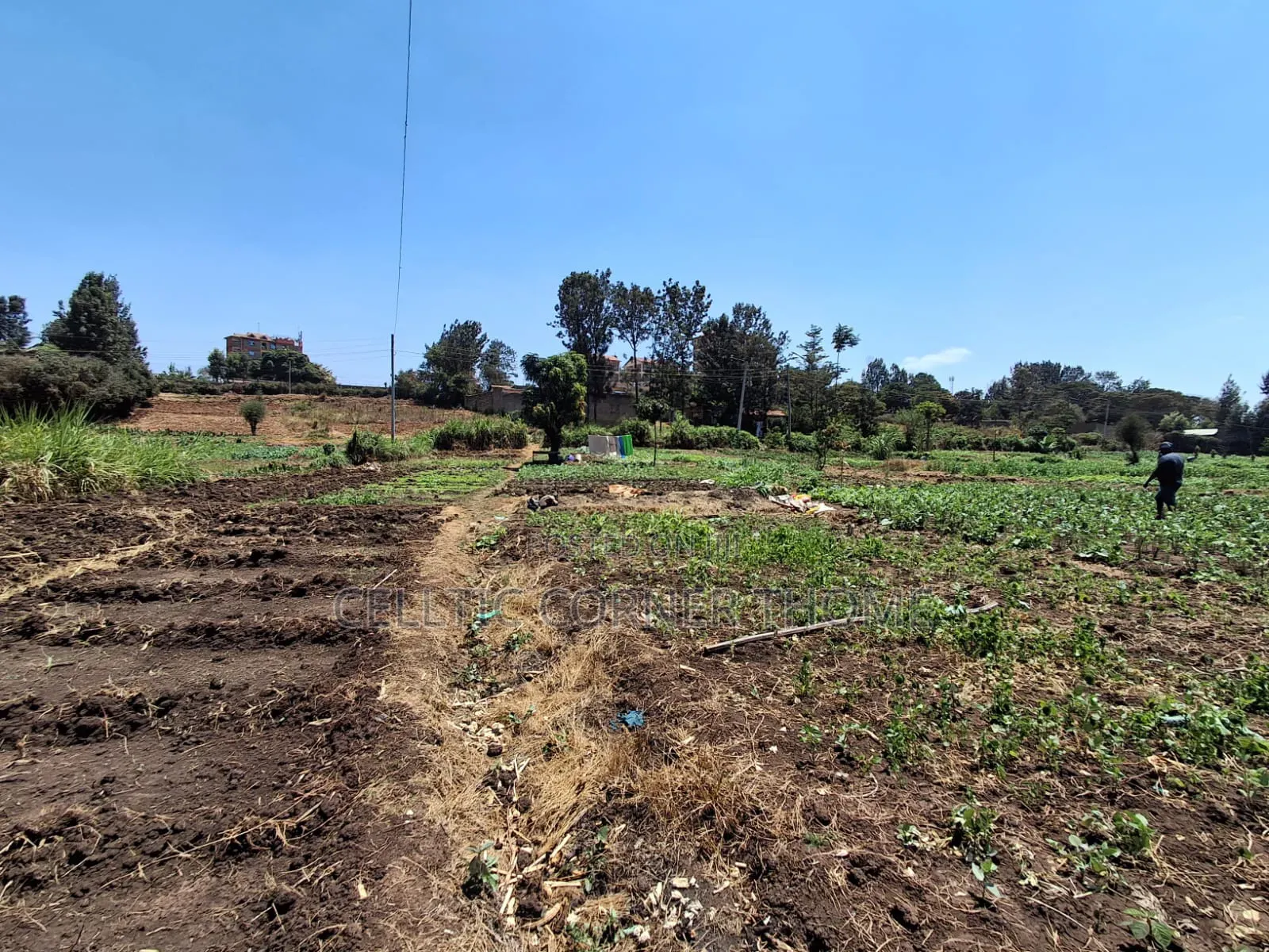1/2 Acre Plot in Kamuthi Estate,Off Northern Bypass. Near Kahawa West