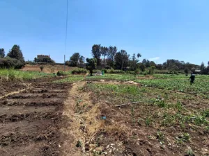 1/2 Acre Plot in Kamuthi Estate,Off Northern Bypass. Near Kahawa West