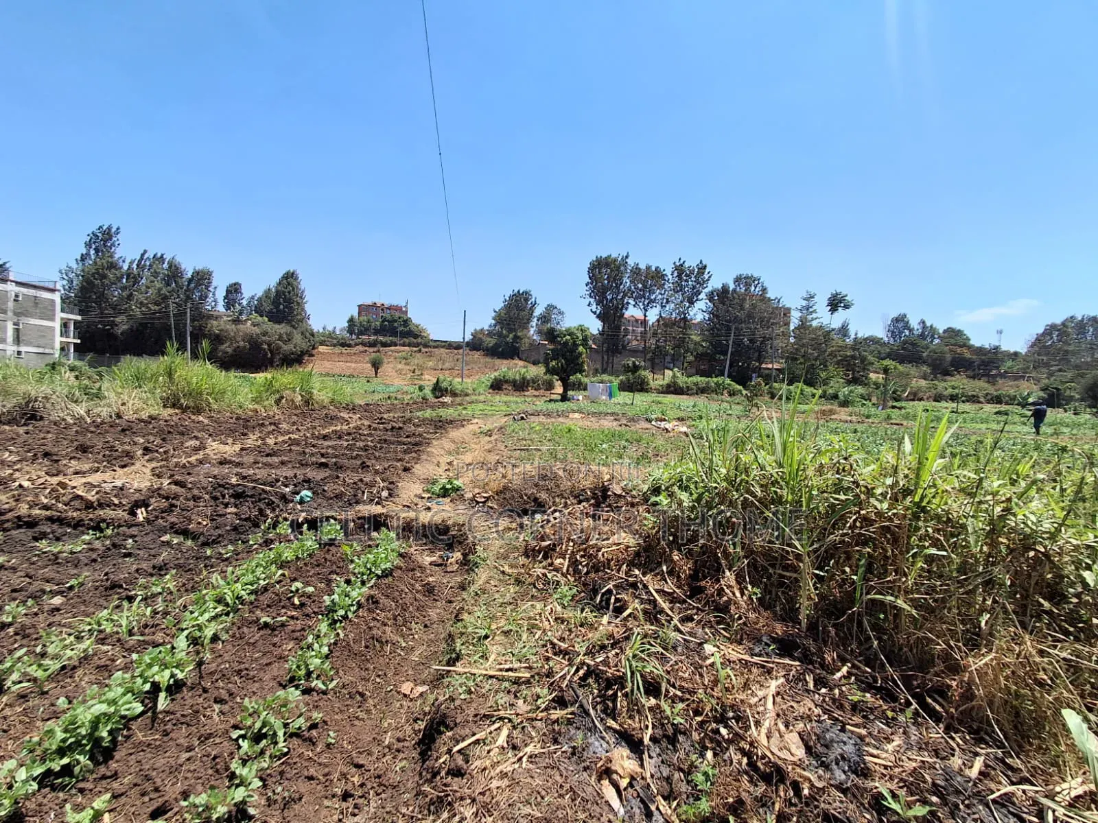 1/2 Acre Plot in Kamuthi Estate,Off Northern Bypass. Near Kahawa West