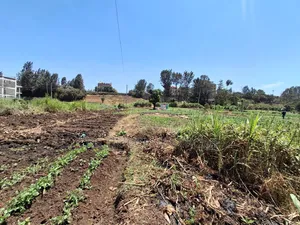 1/2 Acre Plot in Kamuthi Estate,Off Northern Bypass. Near Kahawa West