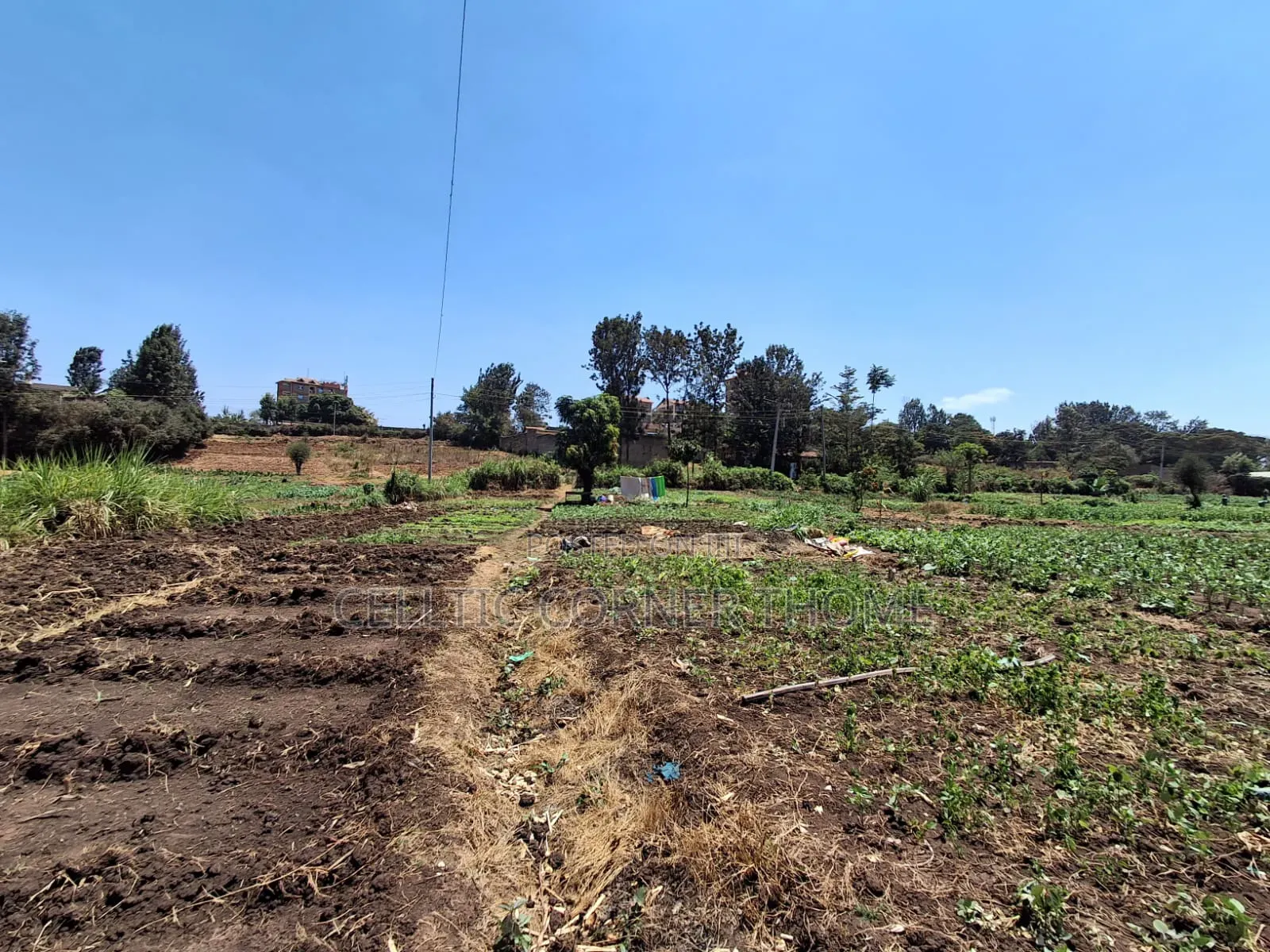1/2 Acre Plot in Kamuthi Estate,Off Northern Bypass. Near Kahawa West