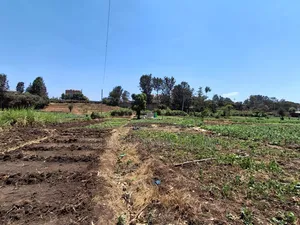 1/2 Acre Plot in Kamuthi Estate,Off Northern Bypass. Near Kahawa West