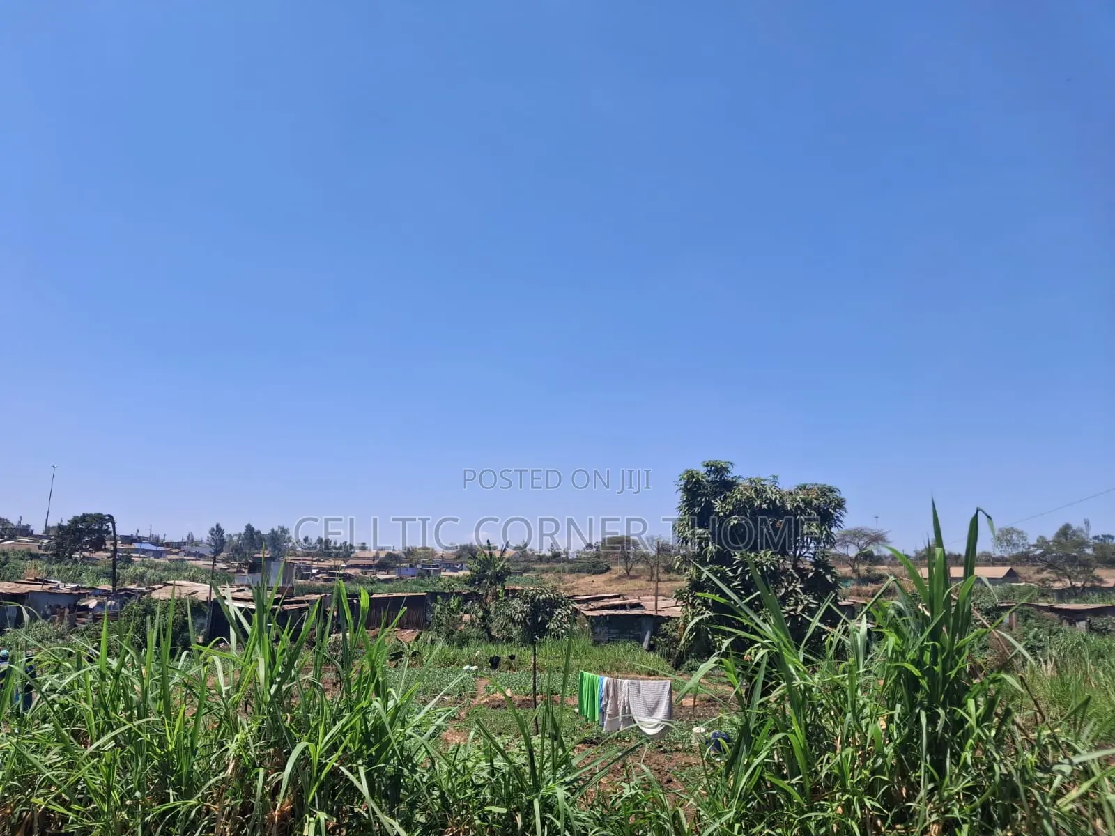 1/2 Acre Plot in Kamuthi Estate,Off Northern Bypass. Near Kahawa West