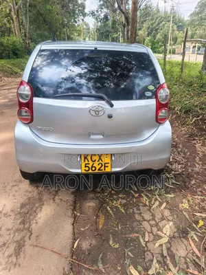 Toyota Passo 2010 Silver