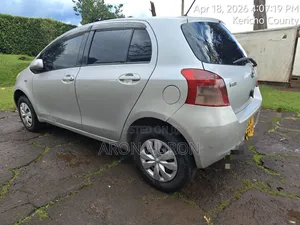 Toyota Passo 2010 Silver