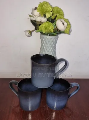 Dinner Mugs