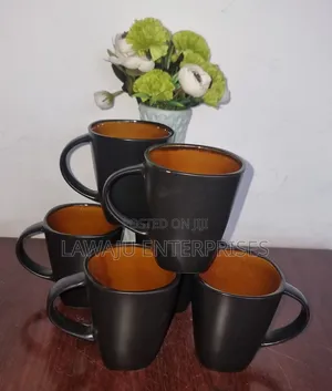 Dual Tone Mugs