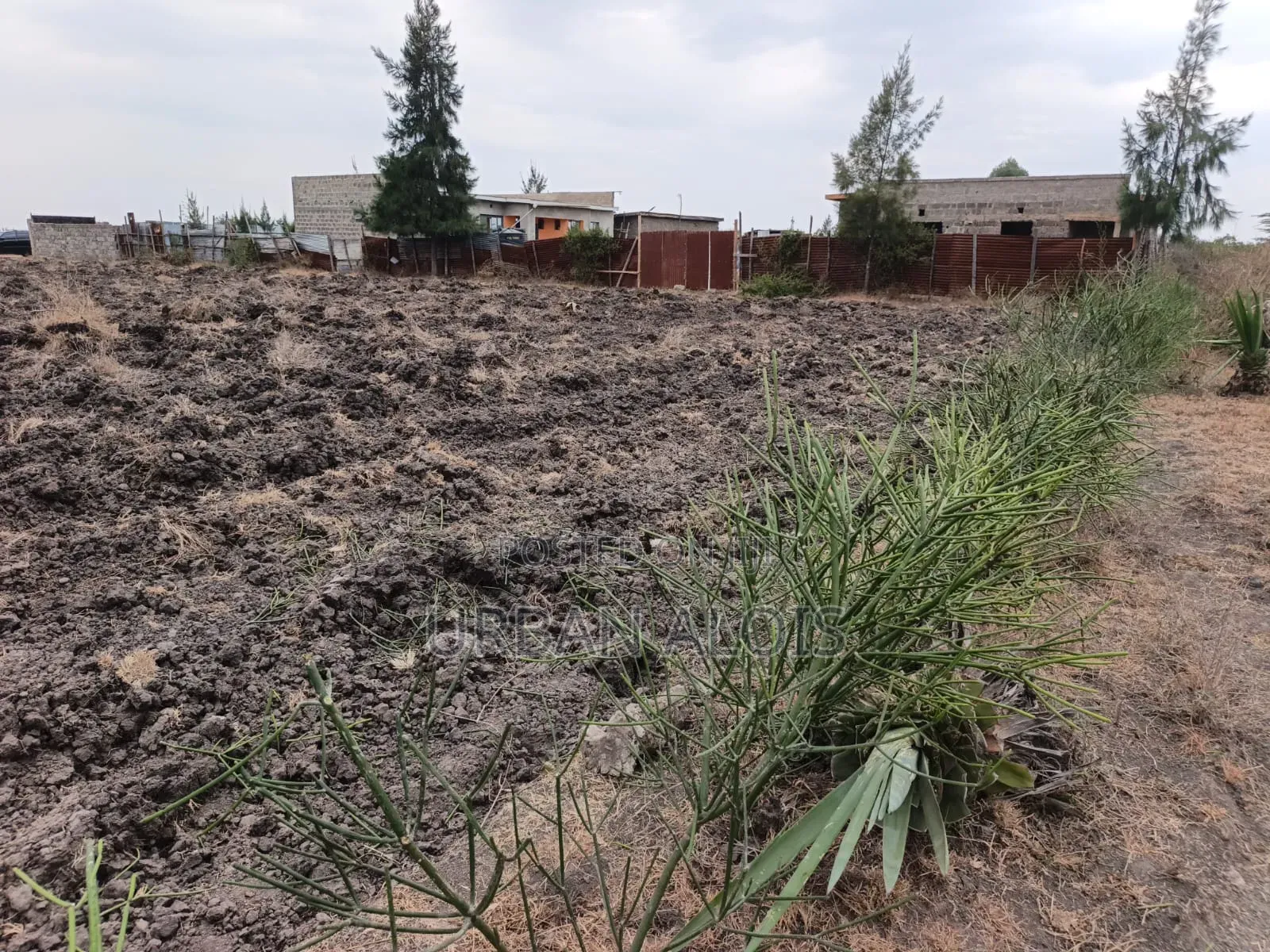 Prime Half an Acre for Sell