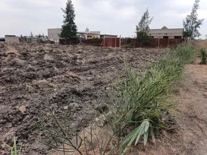 Prime Half an Acre for Sell