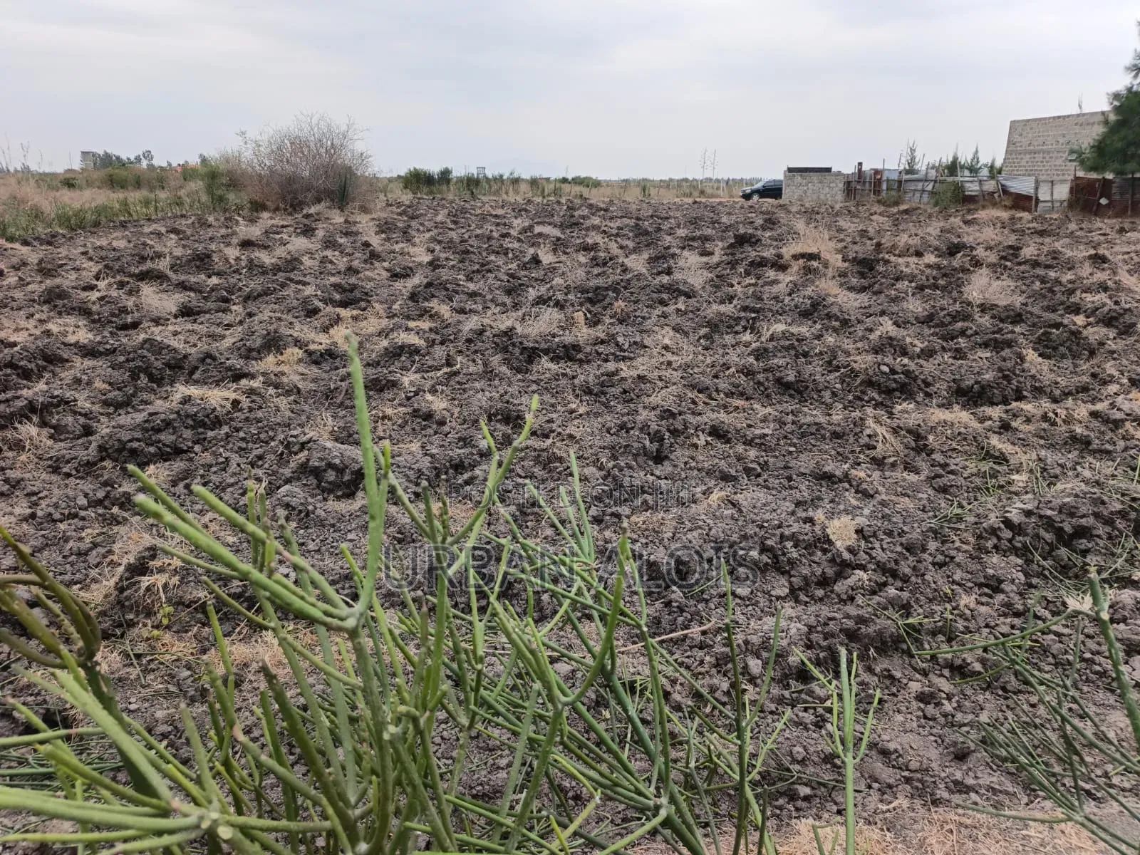 Prime Half an Acre for Sell