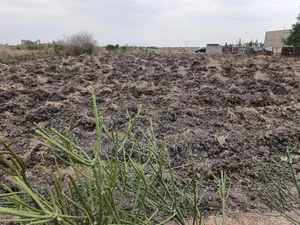 Prime Half an Acre for Sell