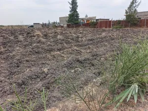 Prime Half an Acre for Sell