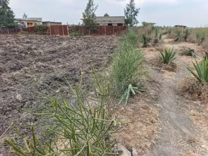 Prime Half an Acre for Sell