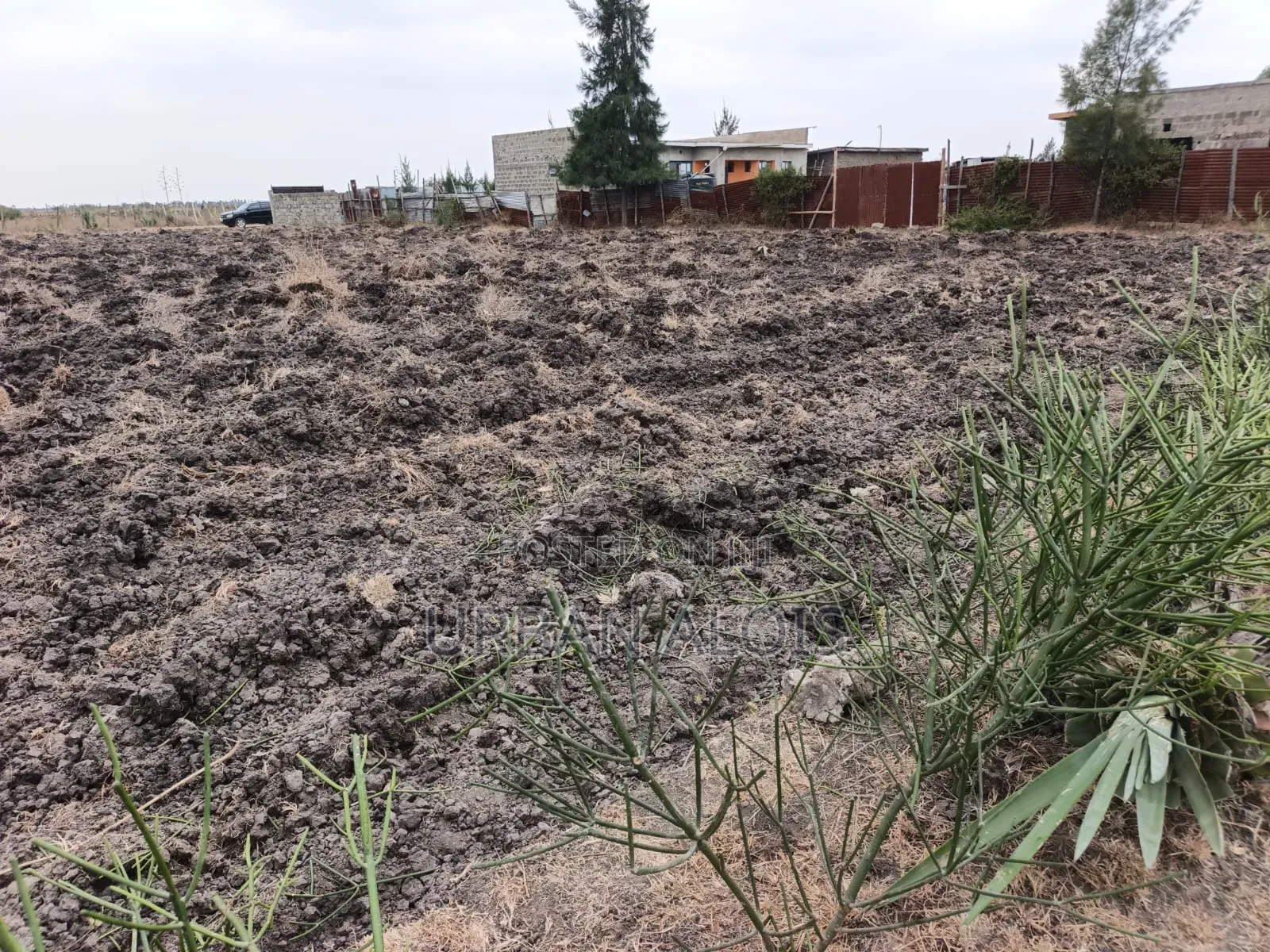 Prime Half an Acre for Sell