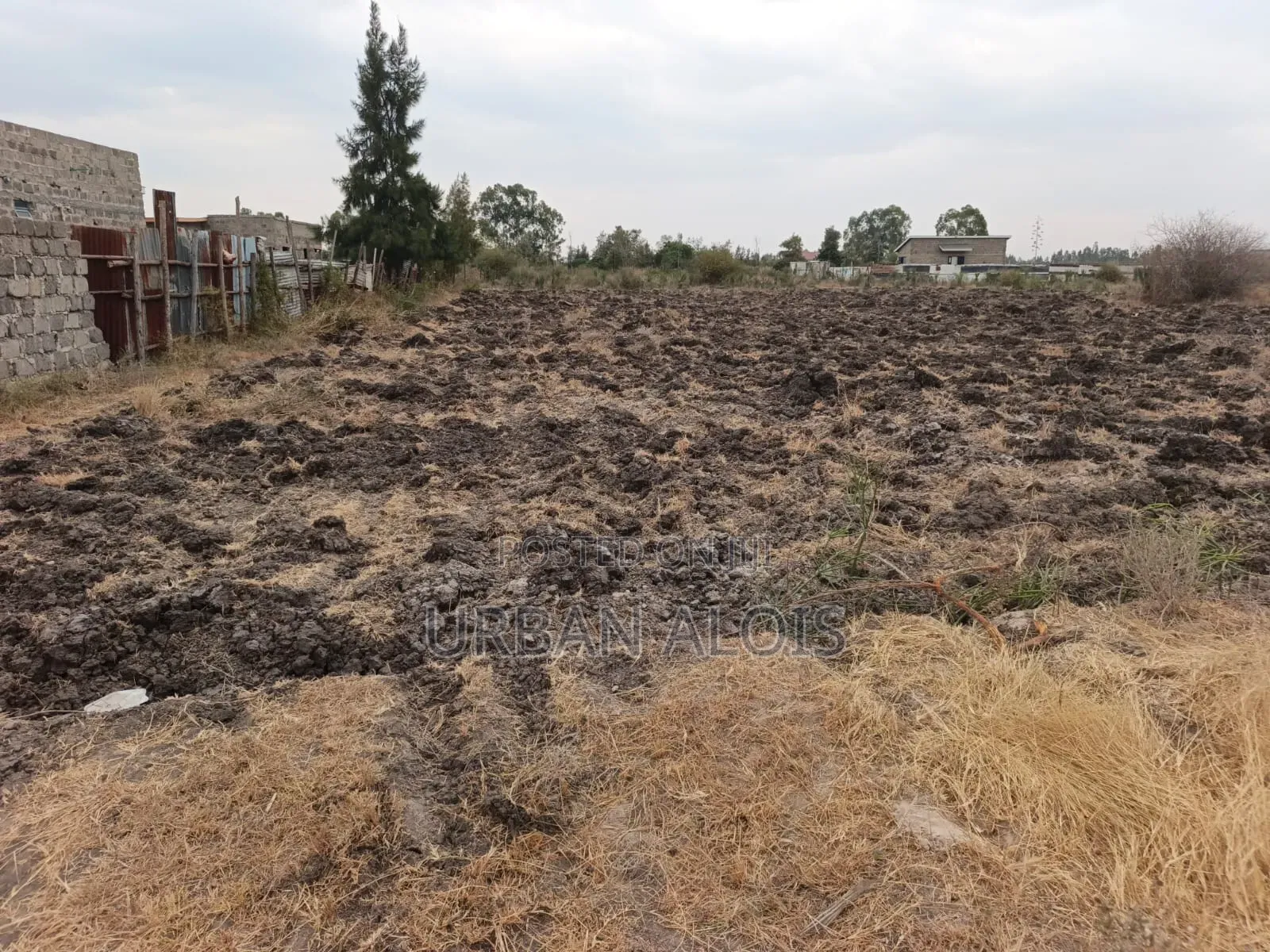 Prime Half an Acre for Sell