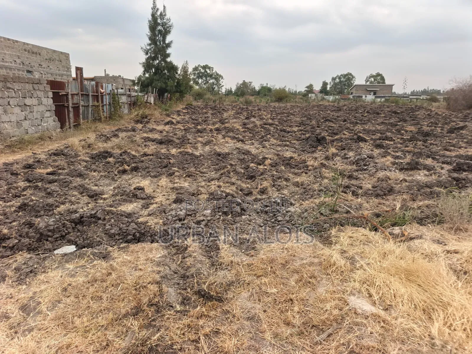 Prime Half an Acre for Sell