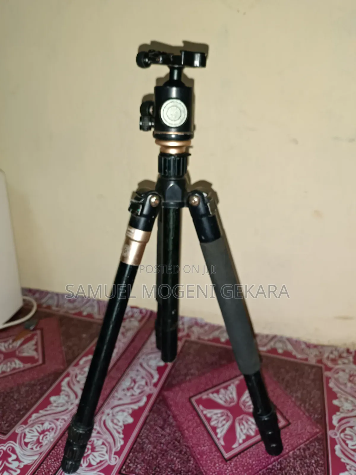 Camera and Rig