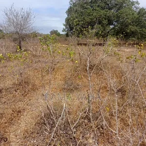 35 Acres for Sale at Dakacha Malindi