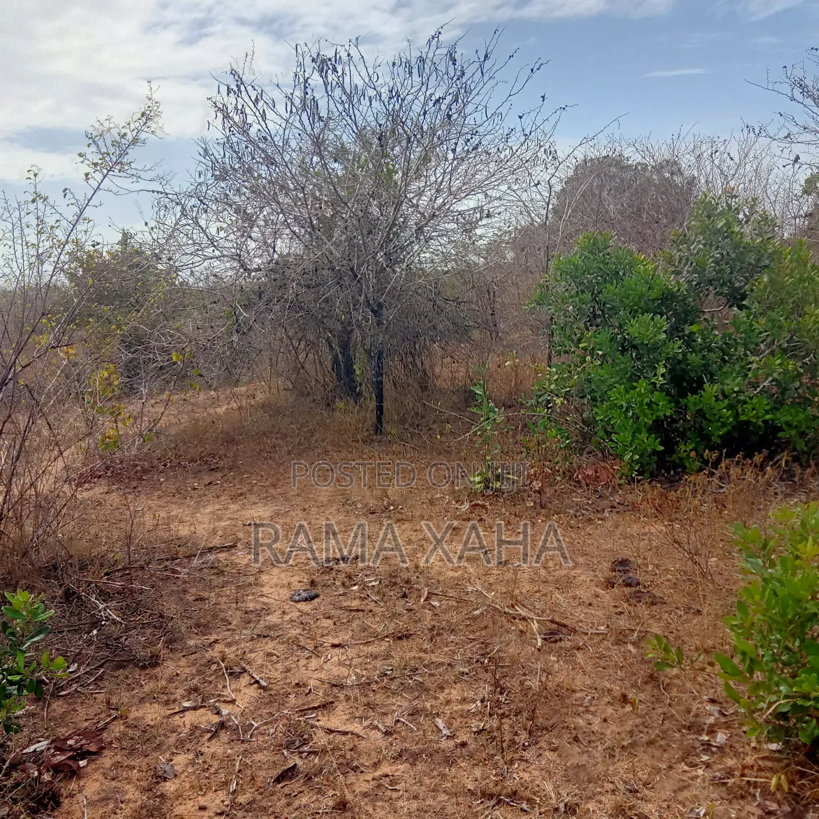 35 Acres for Sale at Dakacha Malindi