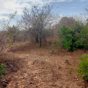 35 Acres for Sale at Dakacha Malindi