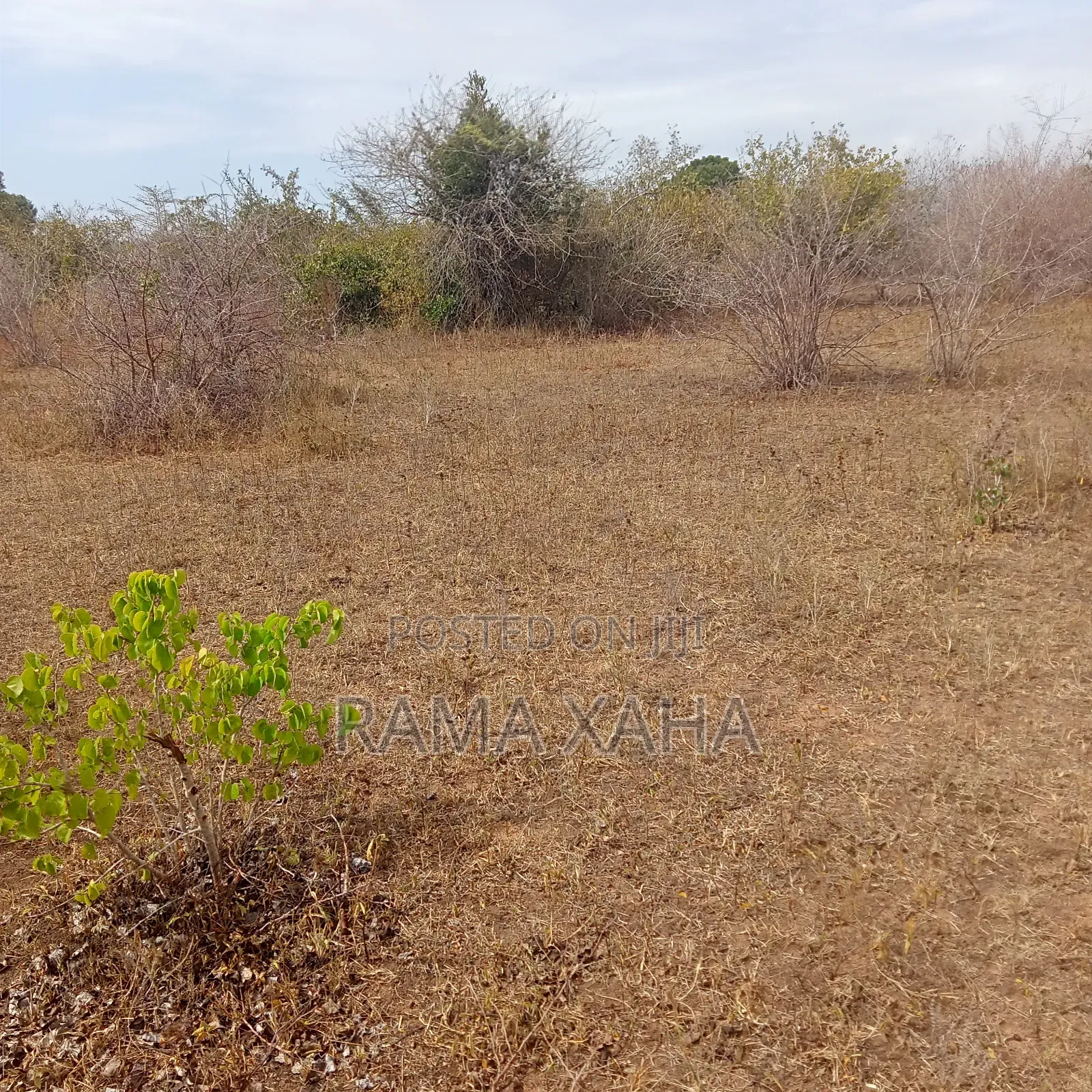 35 Acres for Sale at Dakacha Malindi