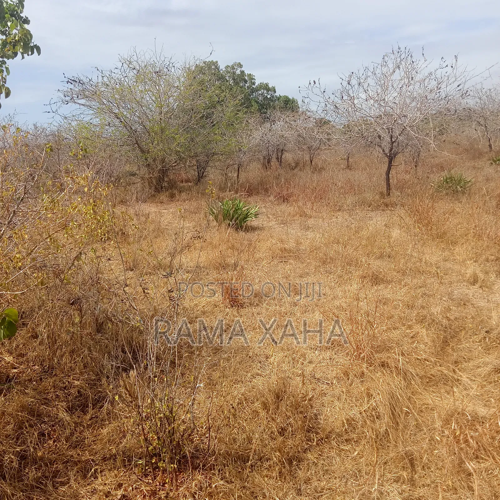 35 Acres for Sale at Dakacha Malindi