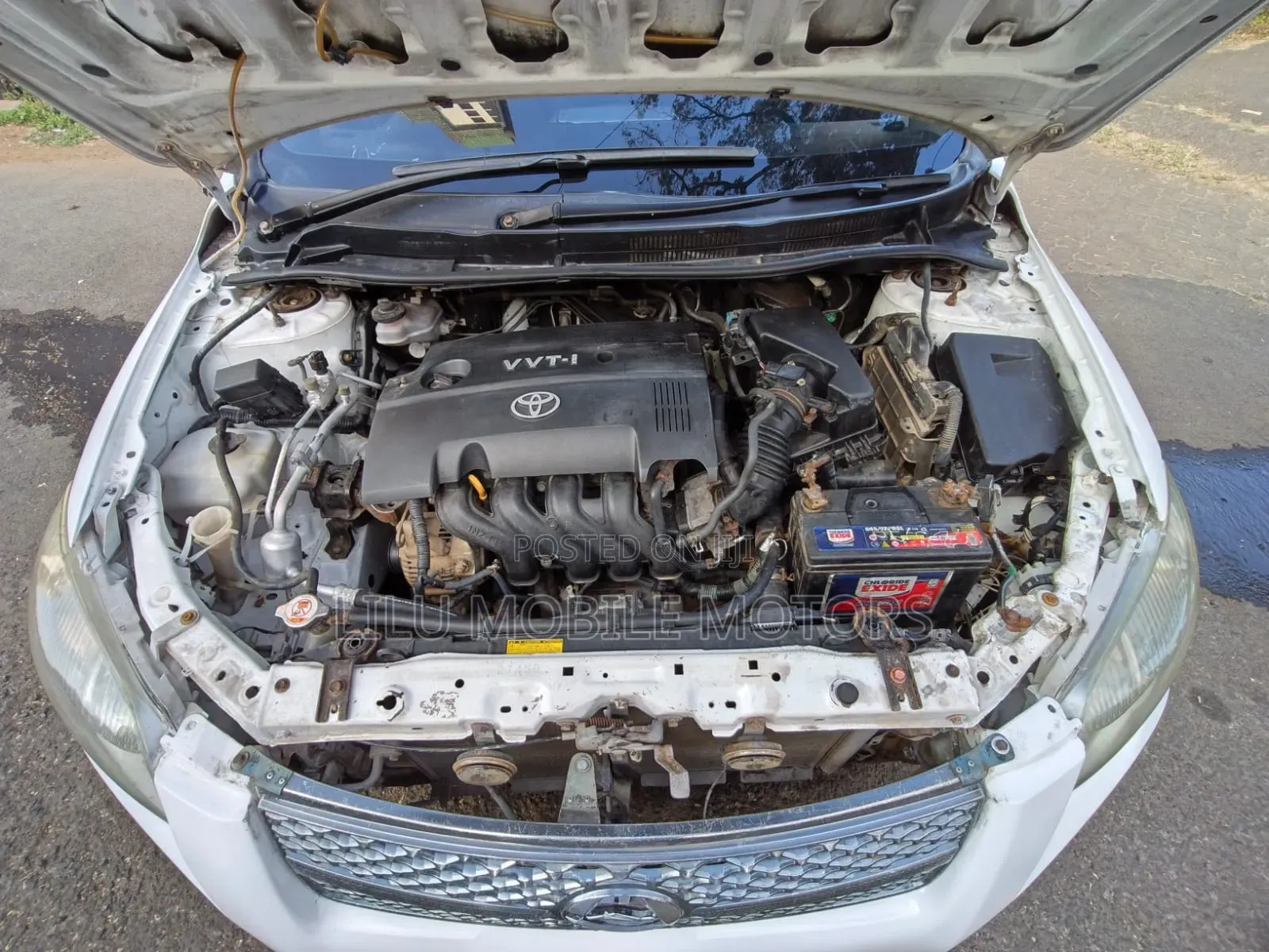 Toyota Corolla Fielder 2010 White