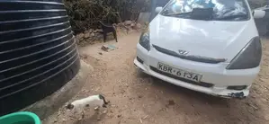 Toyota Wish 2004 White