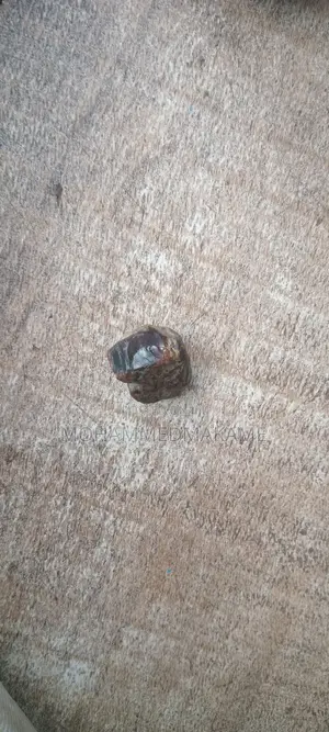 Amber Resin