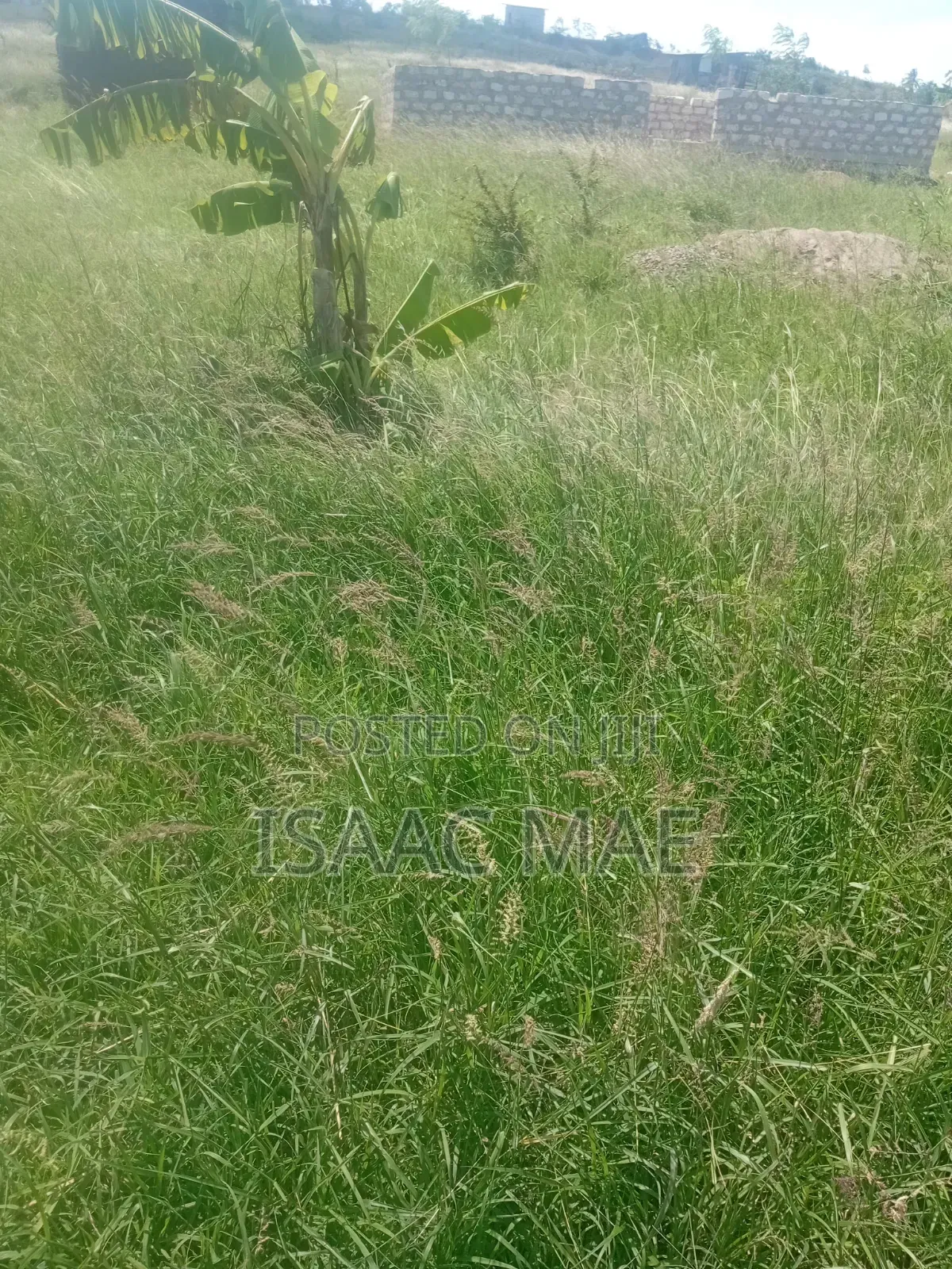 35 Acres for Sale With Ready Tittle Deed 60k Per Acre