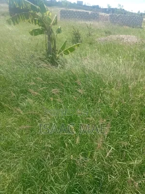 35 Acres for Sale With Ready Tittle Deed 60k Per Acre