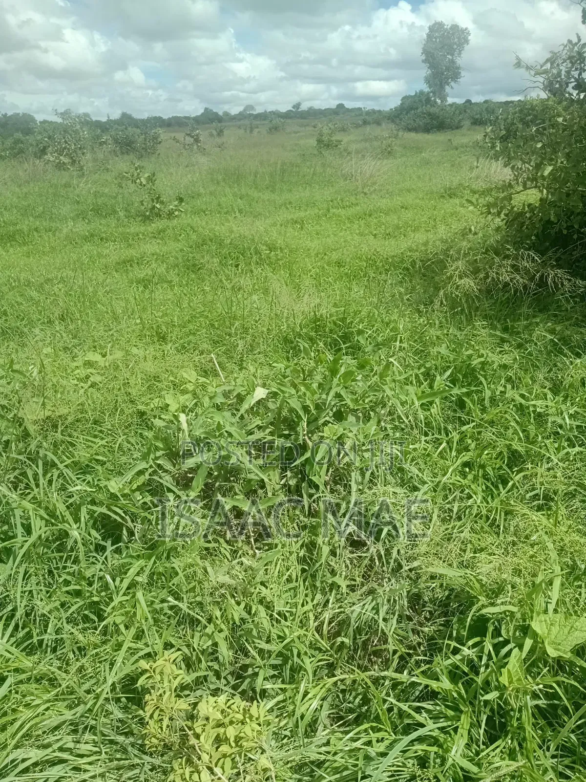 35 Acres for Sale With Ready Tittle Deed 60k Per Acre