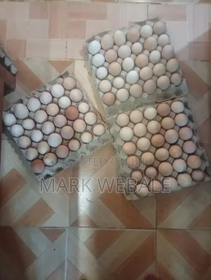 Kienyeji  Chicken Eggs Available for Sale at Mumias Ejinja