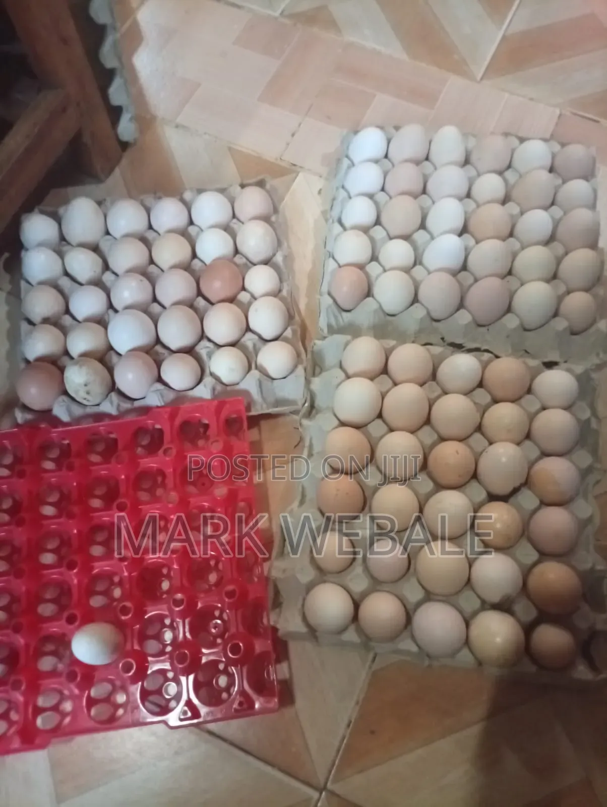Kienyeji  Chicken Eggs Available for Sale at Mumias Ejinja